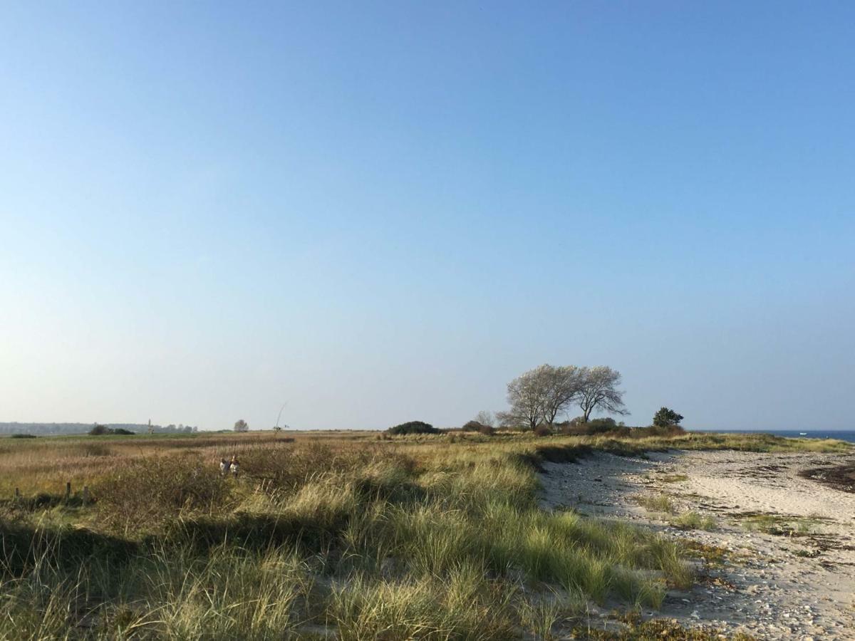 Seesucht-Hohwacht - 110Qm Fewo Mit Toller Lage Am Kiefernweg エクステリア 写真